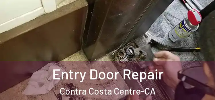 Entry Door Repair Contra Costa Centre-CA